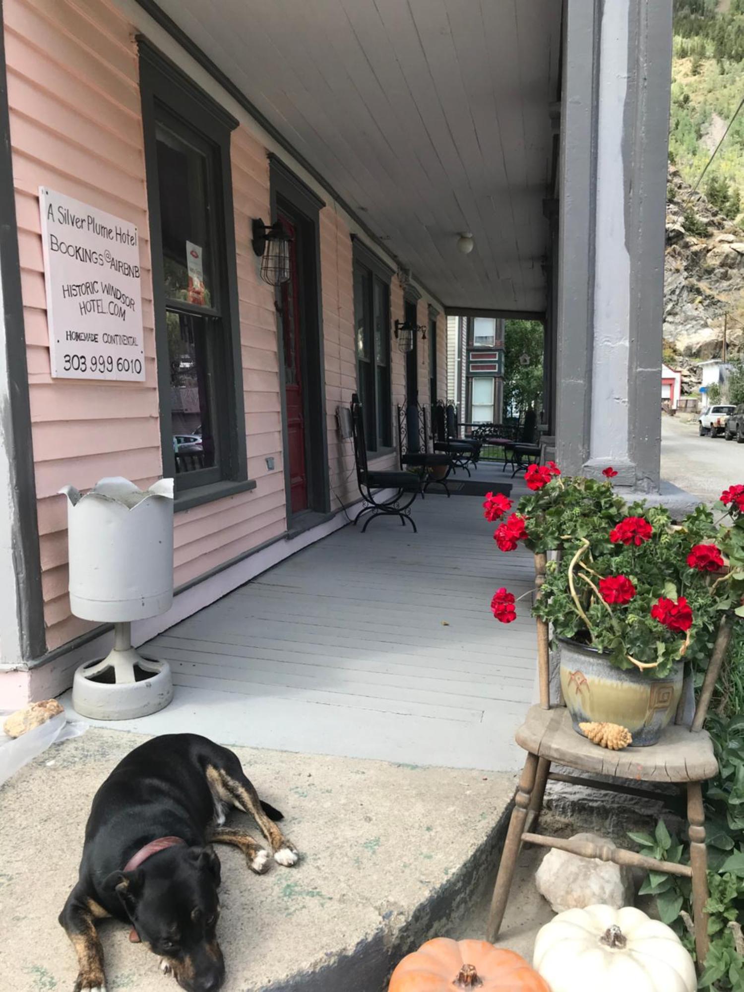 Historic Windsor Bed & Breakfast Silver Plume Bagian luar foto