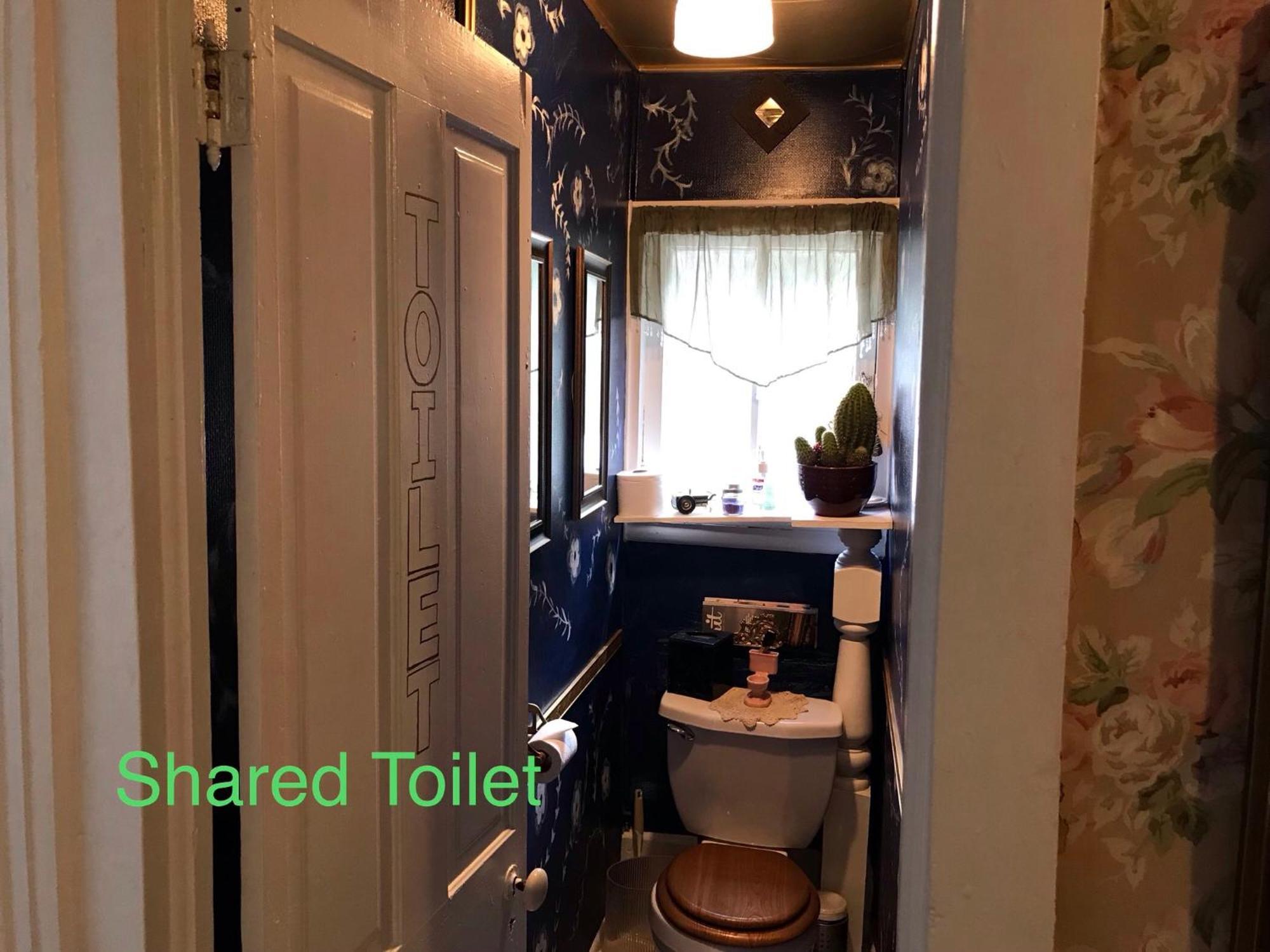 Historic Windsor Bed & Breakfast Silver Plume Bagian luar foto